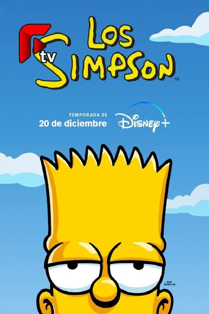 Imagen 21